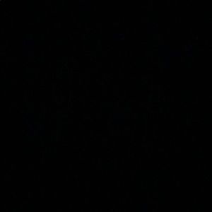 Meet your Posher, Lejon